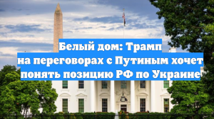 Белый дом: Трамп на переговорах с Путиным хочет понять позицию РФ по Украине