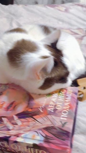 #книги #книжныйблог #обзоркниг #мойкот