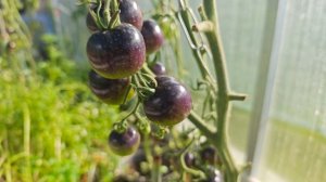 Прощание с летом🤷♂️