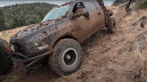 Мёрфи спешит на помощь.