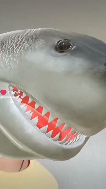 я акула смотреть онлайн