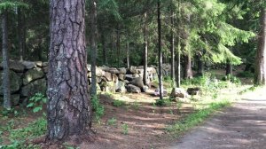 Парк Монрепо в Выборге