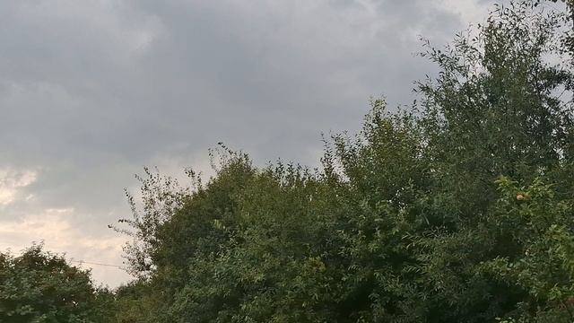 Дождик на даче. Какая красота!