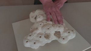 ПЛНФ-3 Декорация из биокерамики для морского аквариума