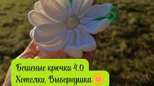 Бешеные крючки 4.0. Хотелки. Вывернушка 🥰🧶🌼