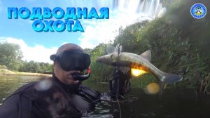ДЕАФ ПОДВОДНАЯ ОХОТА 05-12/08/2025