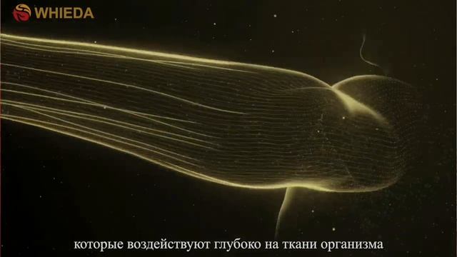 Новый усовершенствованный Активатор клеток PRO смотреть онлайн