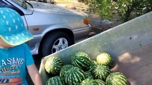 13 августа 2025