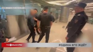 Сотрудники Интерпола задержали подозреваемого в смертельном ДТП иркутянина