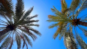 Долгая пересадка в Маскате