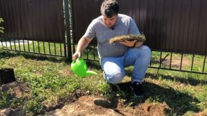 Газон сгорел от удобрений? Что теперь делать? Ответ тут!