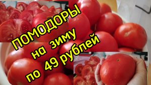 Ейск ! Вода в душе, помидоры на зиму, цветение кактуса и немного о разном ! 13-08-2025