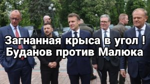 Зеленский крыса ЗАГНАННАЯ В УГОЛ И КОАЛИЦИЯ ОПУЩЕННЫХ