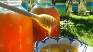 Как отличить и выбрать настоящий мёд⁉️