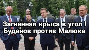 МРИЯ⚡️ ТАМИР ШЕЙХ / КРЫСА ЗАГНАННАЯ В УГОЛ И КОАЛИЦИЯ ОПУЩЕННЫХ. Новости Сводки