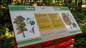 Экотропа на территории памятника природы  «Роща «Комсомольская»»