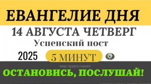 14 августа четверг Евангелие дня 2025 с толкованием #евангелие (5 минут)