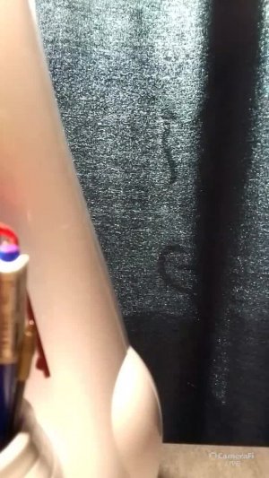 Утро с котом