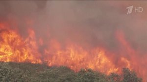 В Европе с каждым часом сложнее ситуация с пожарами