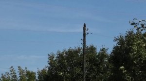 Ежик поздно вечером устроил переполох