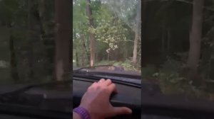 «Сказка-11: Планета» — Заезд!)