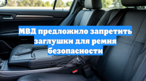 МВД предложило запретить заглушки для ремня безопасности