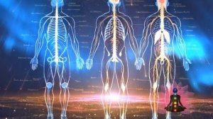 Август 2025 Матрица Гаряев-оригинальная-Garyaev-matrix-Нервная-система-⚠️-Оригинальная-чистая-матриц