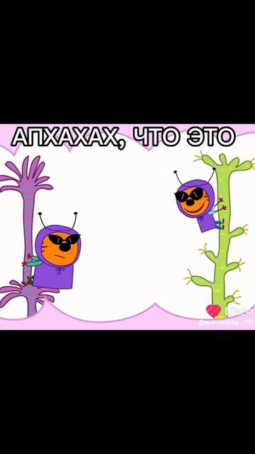 три кота