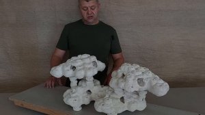 ПЛНФ-8 Декорация из биокерамики для морского аквариума