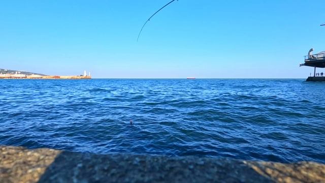 Черное море Порт . 2 карася за 7 ч. Ялта 12 августа смотреть онлайн