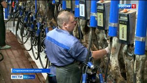 Дояр из Старожиловского района вошёл в тройку лучших в области