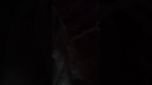 Реборн Илона