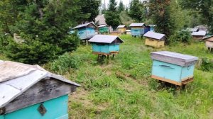 Снимаем магазины. Медосбор в тайге закончен.