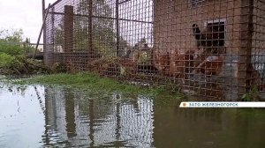 Под Железногорском затопило несколько СНТ