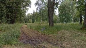 Общее место для фотографии  13 07 2025