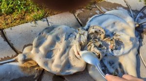 18-08-2025.Дача.Как я чистила Самовар 🤭