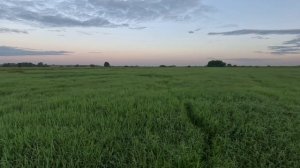 Дупель. Подъем, подача