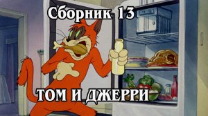 Том и Джерри. Сборник 13 2008