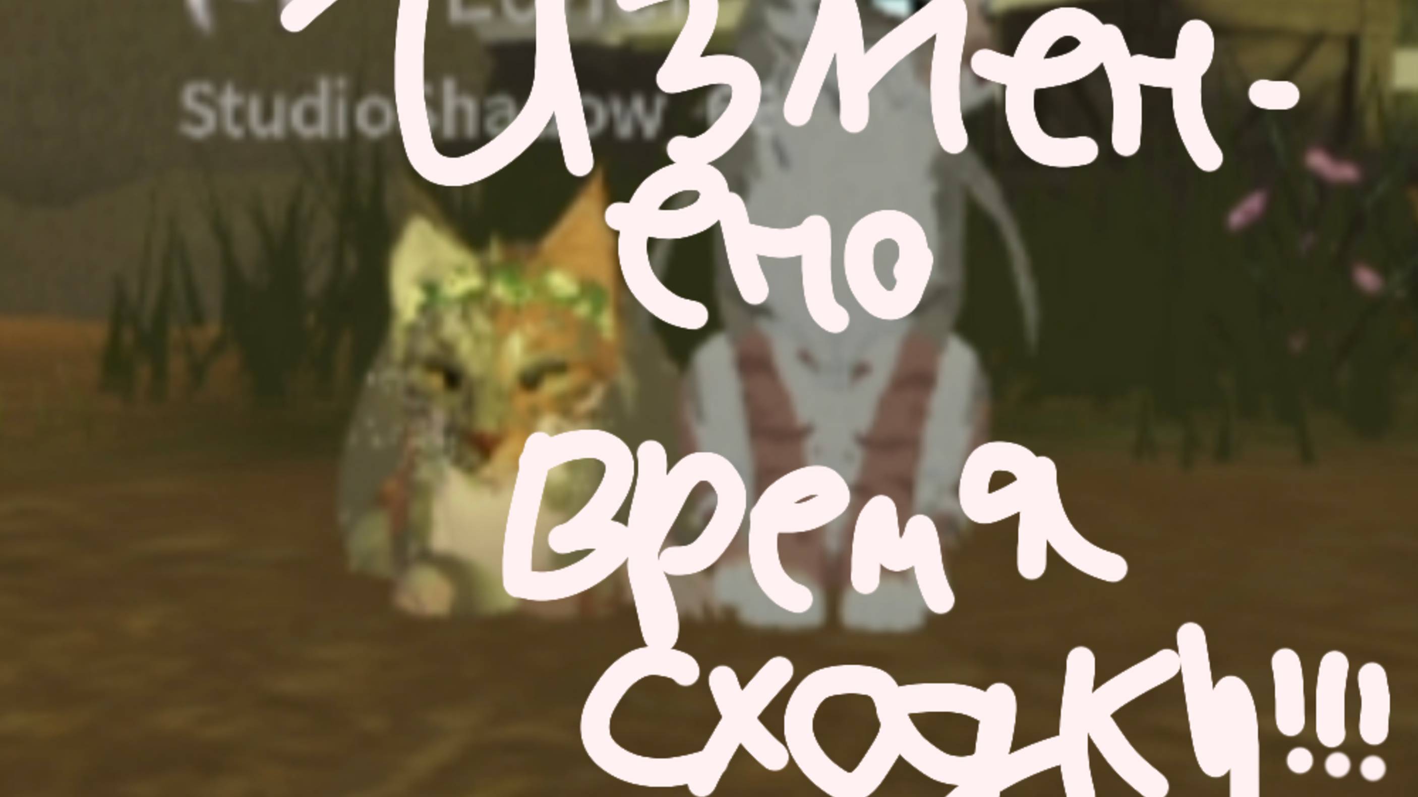 ИЗМЕНЯЮ ВРЕМЯ СЬЕМКИ СЕРИАЛА?!?!