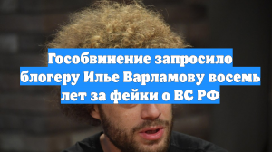 Гособвинение запросило блогеру Илье Варламову восемь лет за фейки о ВС РФ