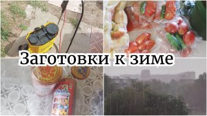 САДОВЫЕ ДЕЛА 🏡 ПОДГОТОВКА НА ЗИМУ // ВАКУУМИРУЮ ОВОЩИ И ФРУКТЫ 🔥 ПОКУПКИ ВБ