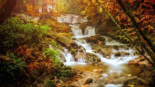 Релакс Для сна  Звуки природы