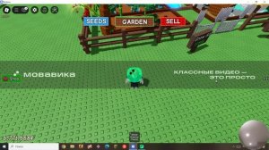 ScreenRecorderProject5