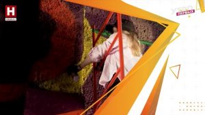 Правила жизни города | НАИВНАЯ УРБАНИСТИКА