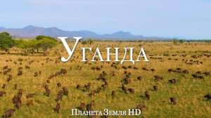Уганда HD - Живописный фильм-релаксация с Африканской Музыкой