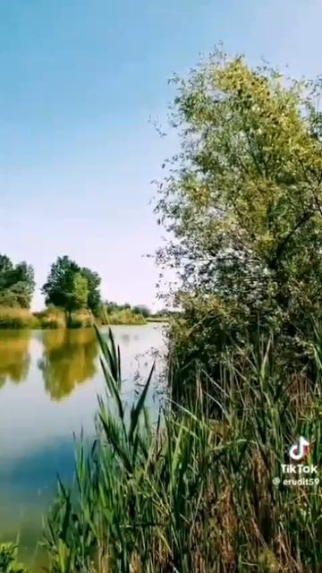 1000107714.mp4 смотреть онлайн