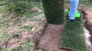 Устройство рулонного газона! О чём не забыть? Ответ тут!