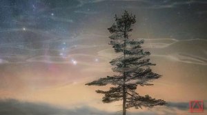 Св. Исаак Сирианин Подвижническия наставления ч.52