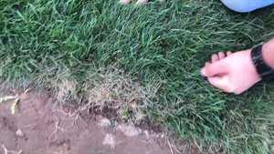 Мятлик или овсяница, разница только в декоративности? Ответ тут!