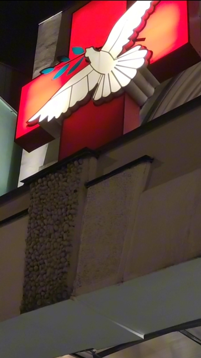 Пришлось обратиться в центр Рошаля